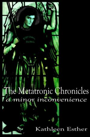 Book cover of The Metatronic Chronicles: a minor inconvenience