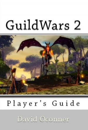 bigCover of the book GuildWars 2: Player's Guide by 