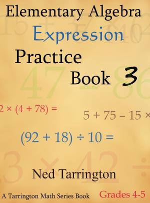 Cover of Elementary Algebra Expression Practice Book 3, Grades 4-5