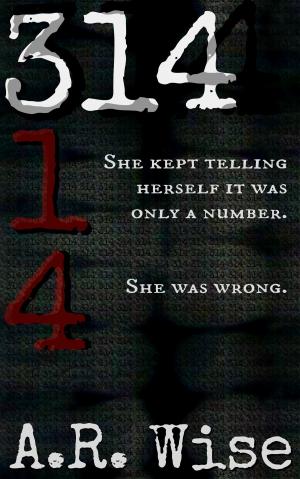 Book cover of 314