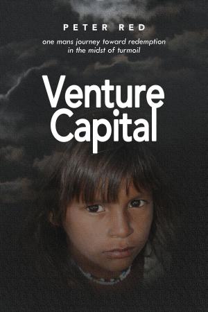 bigCover of the book Venture Capital, one Mans Journey Toward Redemption In The Midst of Turmoil by 