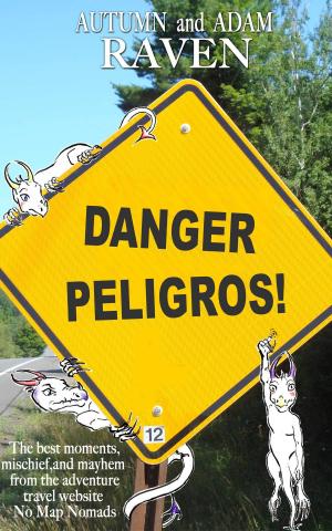 Book cover of Danger Peligros!