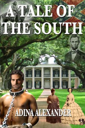 Cover of the book A Tale of the South by Francis M. Mulligan