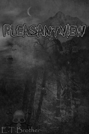 Cover of the book Pleasantview by Adrian J. Smith