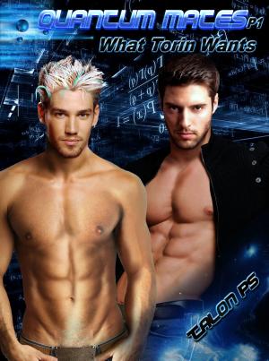 Cover of the book Quantum Mates: What Torin wants by Velvet Gray