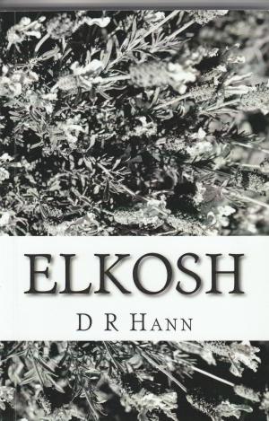 Cover of the book Elkosh by D R Hann