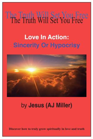 Book cover of Love in Action: Sincerity or Hypocrisy