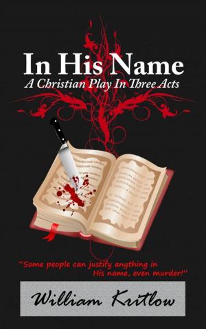 bigCover of the book In His Name by 