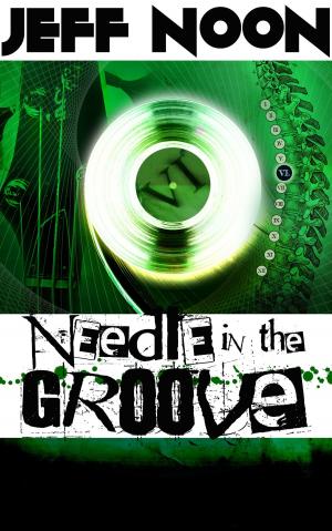 Book cover of Needle In The Groove