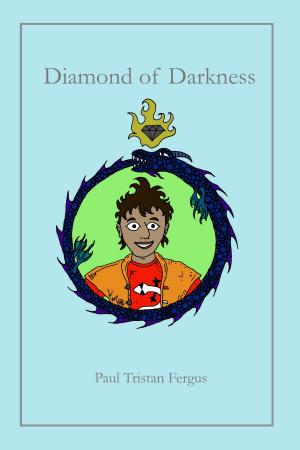 Cover of the book Diamond of Darkness by R.L. Phoenix