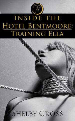 Cover of the book Inside the Hotel Bentmoore: Training Ella by Meg Harris