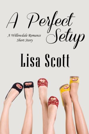 Cover of the book A Perfect Setup by K.J. Diamond