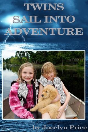 Book cover of Twins Sail Into Adventure