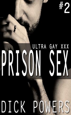 Book cover of Ultra Gay XXX: Prison Sex #2