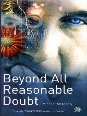 Cover of the book Beyond All Reasonable Doubt by 吴学刚