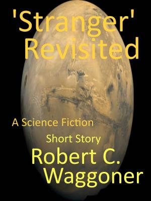 Book cover of Stranger Revisited