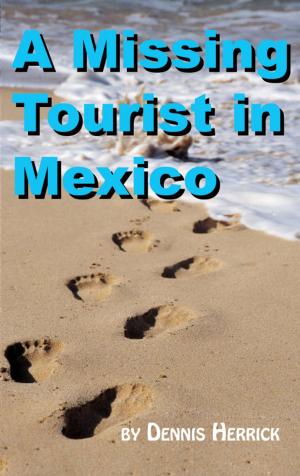 Book cover of A Missing Tourist in Mexico