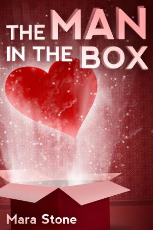 Cover of the book The Man in the Box by Mary Brock Jones