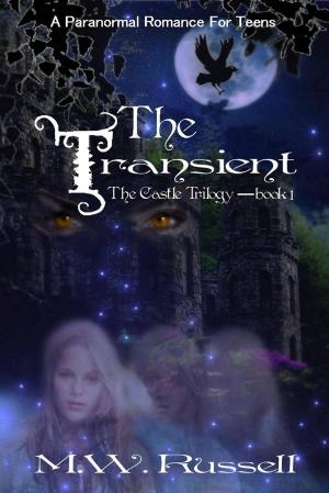 Cover of the book The Transient: The Castle Trilogy by Rick Bowers