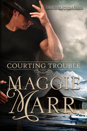 Cover of the book Courting Trouble by Victoria Goddard