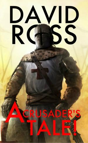 Book cover of A Crusader's Tale!