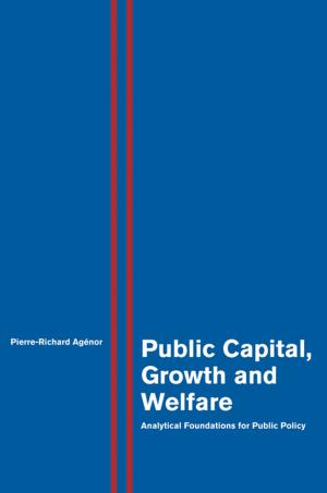 Cover of the book Public Capital, Growth and Welfare by Peter Brown