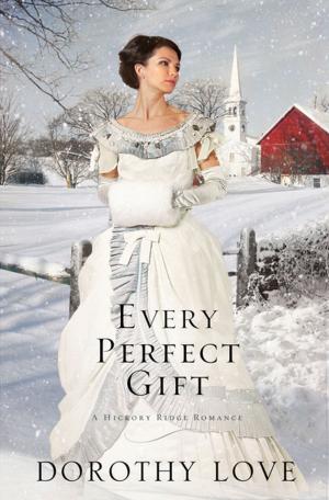 Cover of the book Every Perfect Gift by Erwin Raphael McManus
