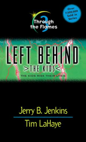 Cover of the book Through the Flames by Jerry B. Jenkins