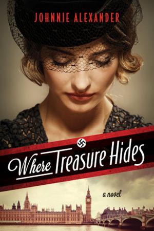 Cover of the book Where Treasure Hides by Dave Burchett
