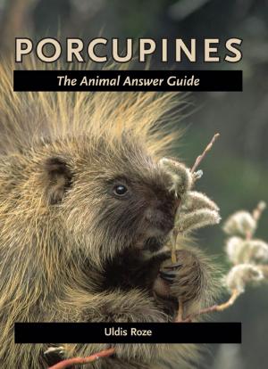 Cover of the book Porcupines by Bob Luke, John David Smith