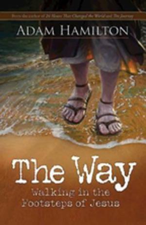 Cover of the book The Way by Delia Halverson