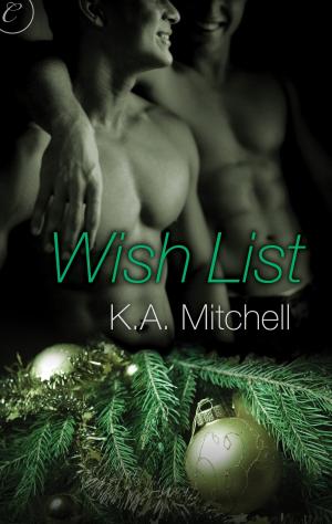 Cover of the book Wish List by Tia Nevitt