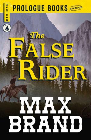 Cover of the book The False Rider by Carina Wolff