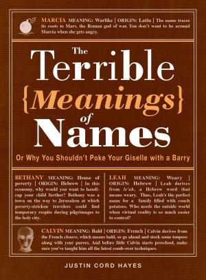 Cover of the book The Terrible Meanings of Names by Karen Salmansohn