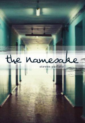Cover of the book The Namesake by Lisa Schroeder