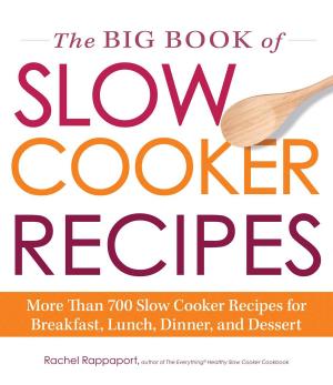 Cover of the book The Big Book of Slow Cooker Recipes by Adams Media