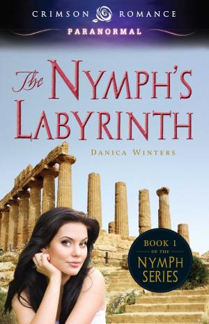 Cover of the book The Nymph's Labyrinth by Pam Andrews Hanson