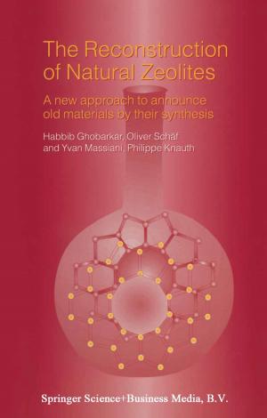 Cover of the book The Reconstruction of Natural Zeolites by Peter J. van Baalen, Lars T. Moratis