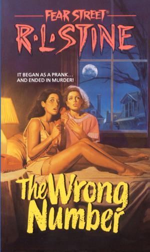 Cover of the book The Wrong Number by Jason Myers