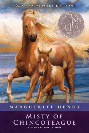 Cover of the book Misty of Chincoteague by John David Anderson