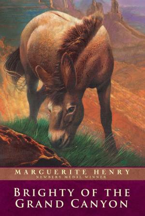 Cover of the book Brighty of the Grand Canyon by G. Maspero, Gaston Camille Charles Maspero