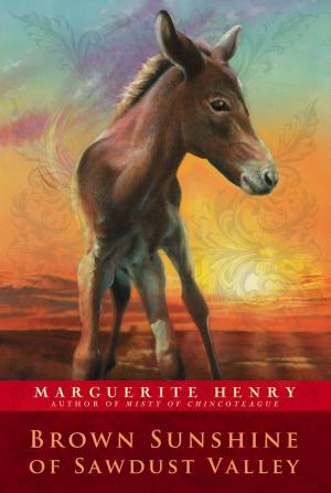 Cover of the book Brown Sunshine of Sawdust Valley by Bruce Coville