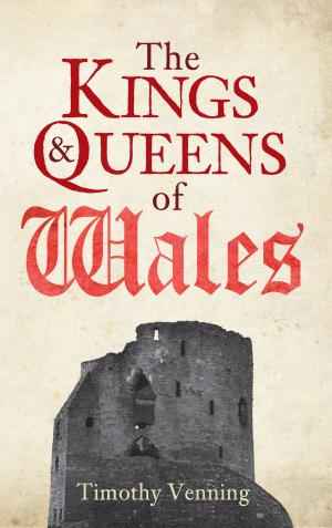 Cover of the book The Kings & Queens of Wales by Josephine Wilkinson
