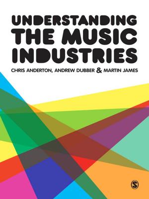 Cover of the book Understanding the Music Industries by Ms. Barbara A. Bray, Ms. Kathleen A. McClaskey