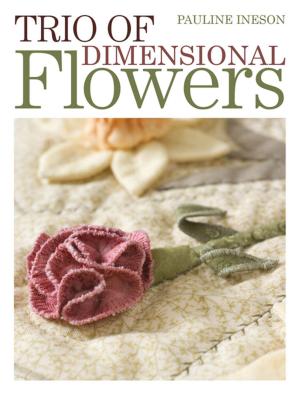 Cover of the book Trio of Dimensional Flowers by Carrie Stuart Parks, Rick Parks