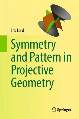 Cover of the book Symmetry and Pattern in Projective Geometry by Laila Dybkjær, Niels Ole Bernsen