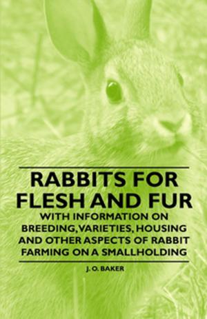 Cover of the book Rabbits for Flesh and Fur - With Information on Breeding, Varieties, Housing and Other Aspects of Rabbit Farming on a Smallholding by Jeff Chern