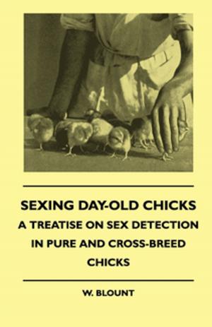 Cover of the book Sexing Day-Old Chicks - A Treatise on Sex Detection in Pure and Cross-Breed Chicks by Joseph Sheridan Le Fanu