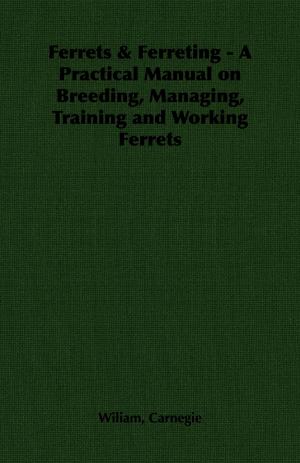 bigCover of the book Ferrets & Ferreting - A Practical Manual on Breeding, Managing, Training and Working Ferrets by 