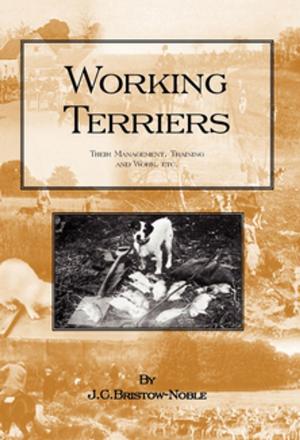 Cover of the book Working Terriers - Their Management, Training and Work, Etc. by T. A. Coward